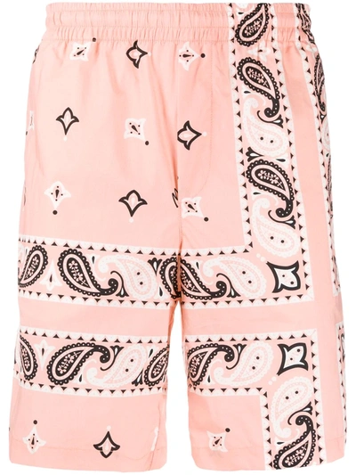 Msgm Bandana Print Bermuda Shorts In Pink