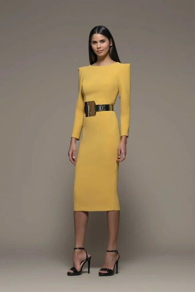 Isabel Sanchis Barbiano Long Sleeve Midi Dress