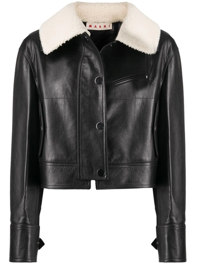 Marni Shearling Collar Leather Jacket In Black