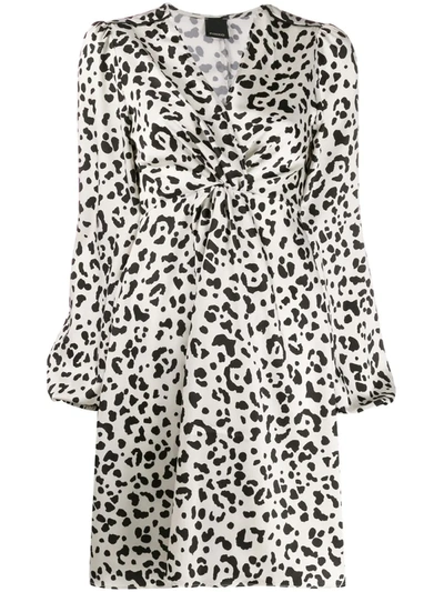 Pinko Faded Leopard-print Dress In Neutrals