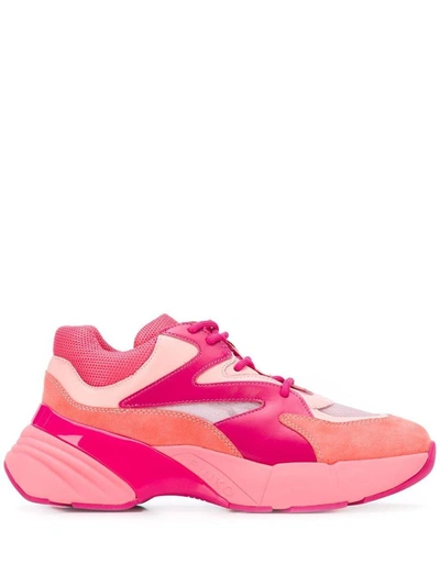 Pinko Maggiorana Sneakers In Fuchsia