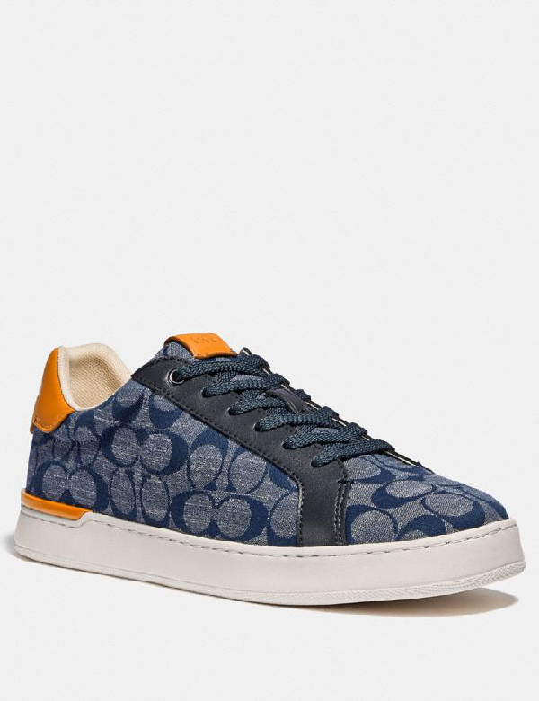 lowline low top sneaker in rainbow signature canvas