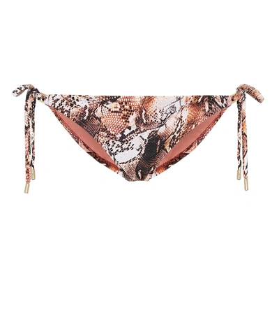 Melissa Odabash Cancun Embellished Snake-print Bikini Briefs In Brown