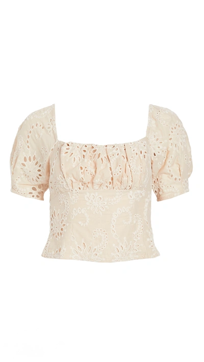 Astr Bondi Eyelet Crop Top In Natural