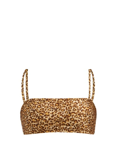 Zimmermann Empire Leopard-print Bandeau Bikini Top In Animal Print