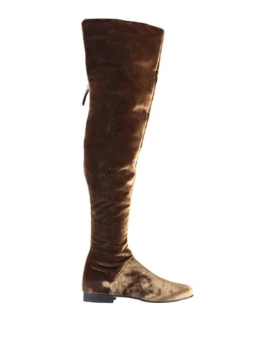 Alberta Ferretti Knee Boots In Brown
