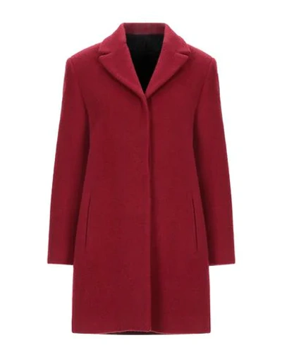 Alessandro Dell'acqua Coat In Brick Red