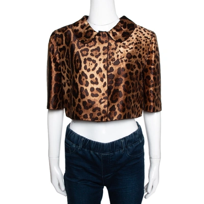 Pre-owned Dolce & Gabbana Brown Leopard Printed Silk Cropped Bolero Jacket M