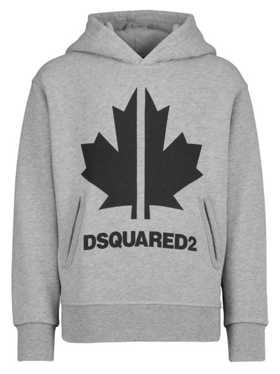 Dsquared2 Kids Hoodie For For Boys And For Girls In Grey
