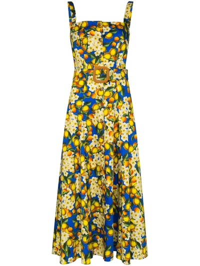 Borgo De Nor Camilla Belted Floral-print Cotton-poplin Midi Dress In Blue