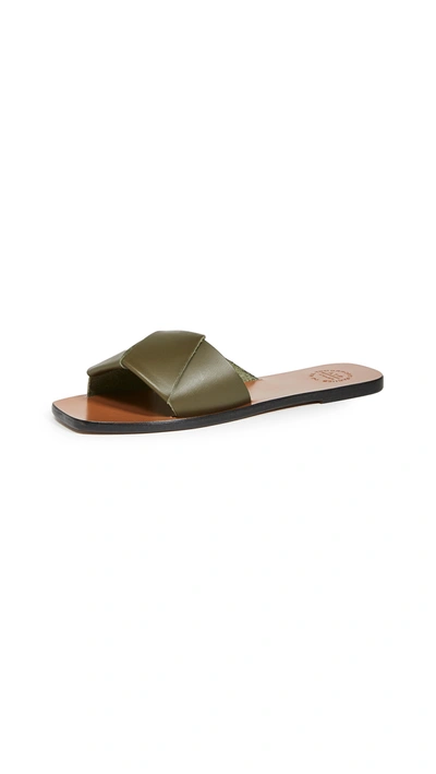 Atp Atelier 'carpari' Knot Square Toe Leather Flat Sandals In Turtle