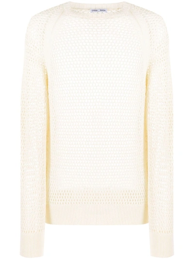 Cmmn Swdn Mesh Knit Jumper In Neutrals