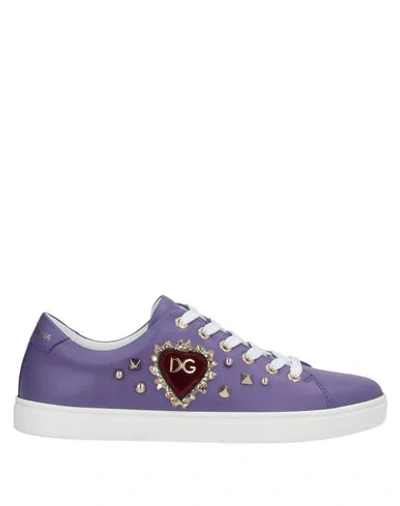 Dolce & Gabbana Sneakers In Purple