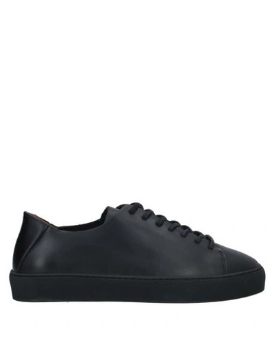 Royal Republiq Sneakers In Black