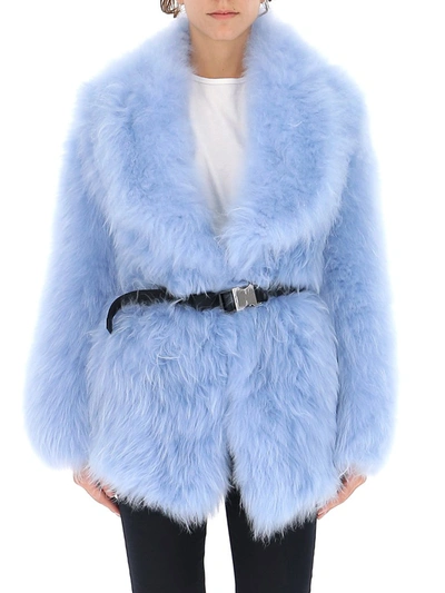 Prada Belted Fur Coat In Blue