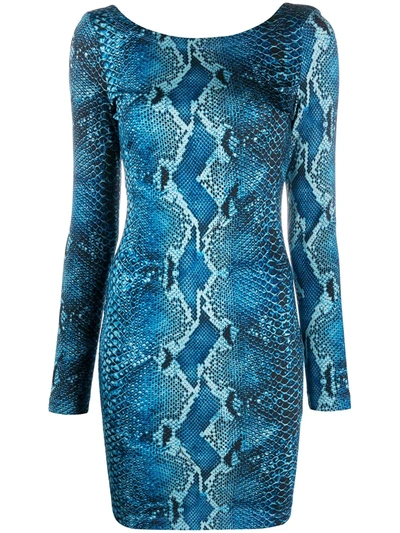 just cavalli blue dress Dress Just Cavalli Women colour Blue