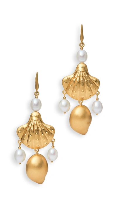 Tory Burch Shell & Freshwater Pearl Drop Earrings In Rolled Brass/pearl