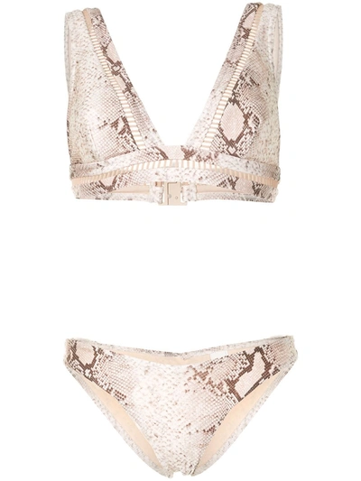 Zimmermann Snake-print Bikini Set In Multicolour