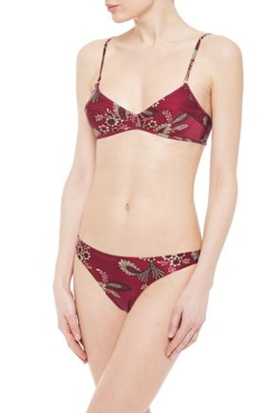 Zimmermann Juno Floral-print Bikini In Claret