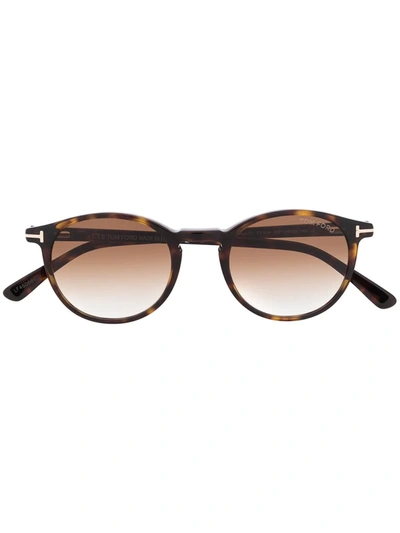 Tom Ford Palmer Sunglasses In Brown