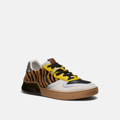 Coach Citysole Court Sneaker With Snakeskin Detail In Multi Color