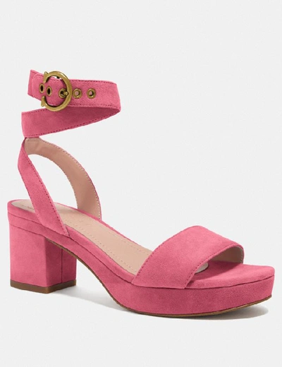 Coach Serena Sandal In Pink - Size 8.5 B In Orchid
