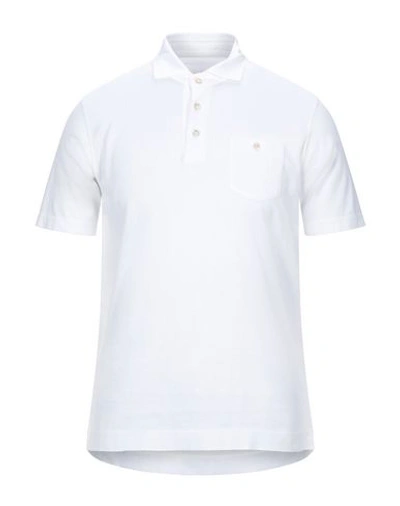 Circolo 1901 Polo Shirt In White
