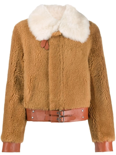 Coach Short Shearling Jacket In Beige - Size 10 In Brown