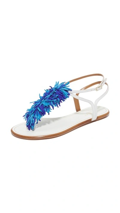 Aquazzura Wild Thing Flat Sandals In White Multi Blue Modesens