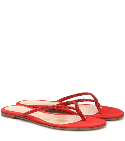 Gianvito Rossi India Suede Thong Sandals In Red