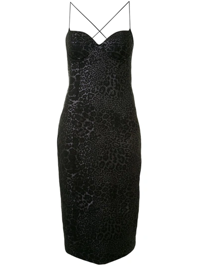 Manning Cartell Leopard-print Bustier Dress In Black