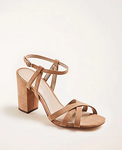 Ann Taylor Ilaria Suede Sandals In Spiced Chai