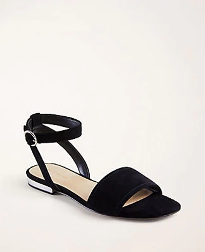 Ann Taylor Adley Suede Sandals In Black