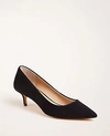 Ann Taylor Reese Suede Pumps In Black