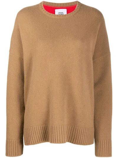 Opening Ceremony Knitted Bicolour Jumper In Brown