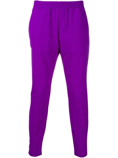 Hydrogen Elasticated Cropped Trousers In Purple