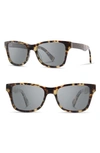 Shwood 'canby' 54mm Acetate & Wood Sunglasses In Havana/ Elm Burl/ Grey