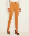 Ann Taylor Petite High Rise 5-pocket Velvet Pants - Curvy Fit In Tanned Khaki