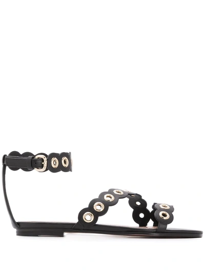 Red Valentino Red(v) Eyelet Embellished Sandals In Black