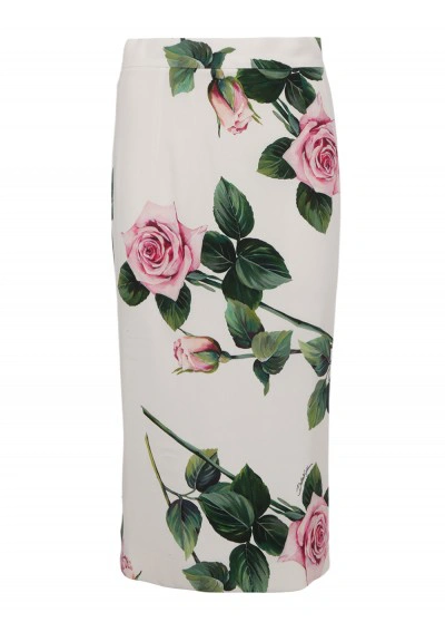 Dolce & Gabbana Skirt Rose In C Rosa Fdo Panna
