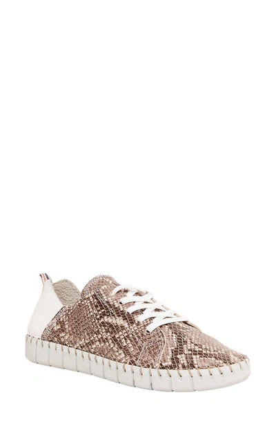 Andre Assous Iris Leather Sneaker In Sand Snake Print Leather