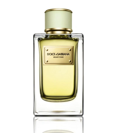 Dolce & Gabbana Velvet Pure Eau De Parfum (150ml) In White