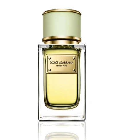 Dolce & Gabbana Velvet Pure Eau De Parfum (50ml) In White