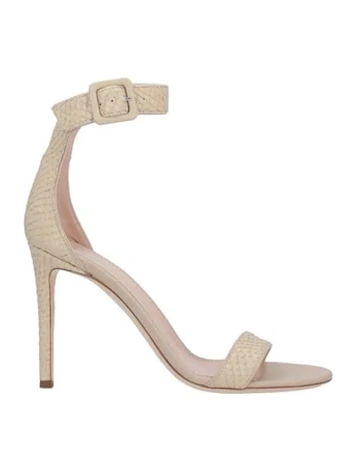 Giuseppe Zanotti Sandals In Ivory