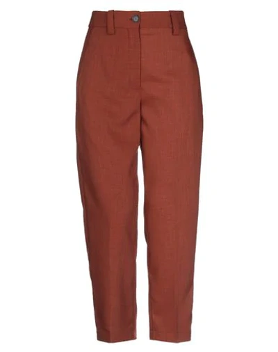 Erika Cavallini Pants In Brown