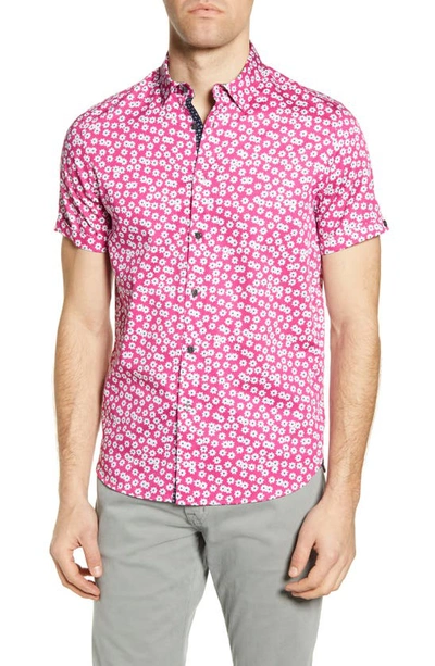 Ted Baker Slim Fit Petal Print Short Sleeve Button-up Shirt In Pink