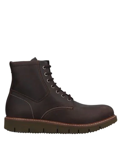 Docksteps Ankle Boots In Dark Brown