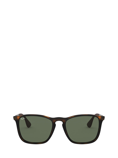 Ray Ban Chris Sunglasses Gunmetal Frame Green Lenses 54-18 In Light Havana