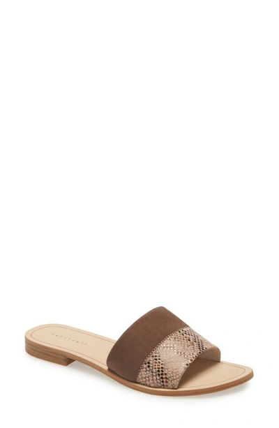 Sanctuary Conga Sllide Sandal In Decaf Multi/ Coffee Leather