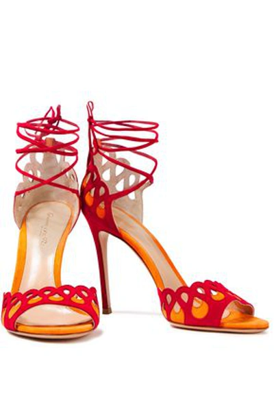 Gianvito Rossi Samba Lace-up Cutout Suede Sandals In Red